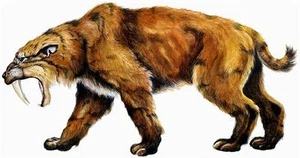COOL SABER ZAHNTIGER GLÄNZEND POSTER BILD FOTO SCHÖNE Katze ausgestorben 2110 - Bild 1 von 1