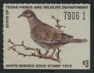 TEXAS White-Winged Dove Wooton 2 mint, NH, VF - Picture 1 of 1