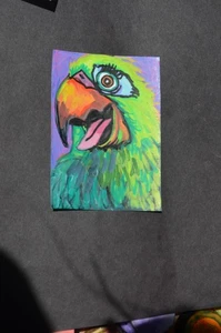 ACEO Art original perroquet heureux média mixte pas une impression - Photo 1/3