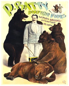 BATTY BEARS Circus Poster Giclee High Res 8x10 Print - Picture 1 of 1