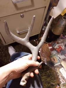 CAST ALUMINUM (OR POT METAL) DEER ANTLER 389 GRAMS ART PIECE , GOOD CONDITION - Picture 1 of 8
