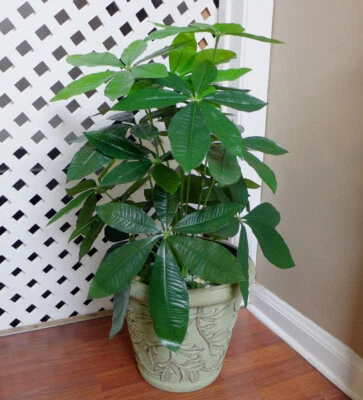 (hojas más grandes 11", 8") arbusto artificial plantas realistas árbol de plam 20" altura Foto 1 de 4