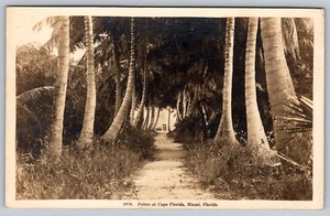 1976 Palms at Cape Florida Miami Vintage Postcard - C4 - Picture 1 of 2