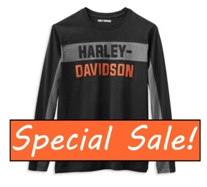 SPECIAL SALE! $19.98+ Harley-Davidson® Men's Copperblock Block Letter Tee - Picture 1 of 3