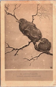 Birds H.Verstijnen Jonge Heggenmussen Vintage Postcard B205 - Picture 1 of 2