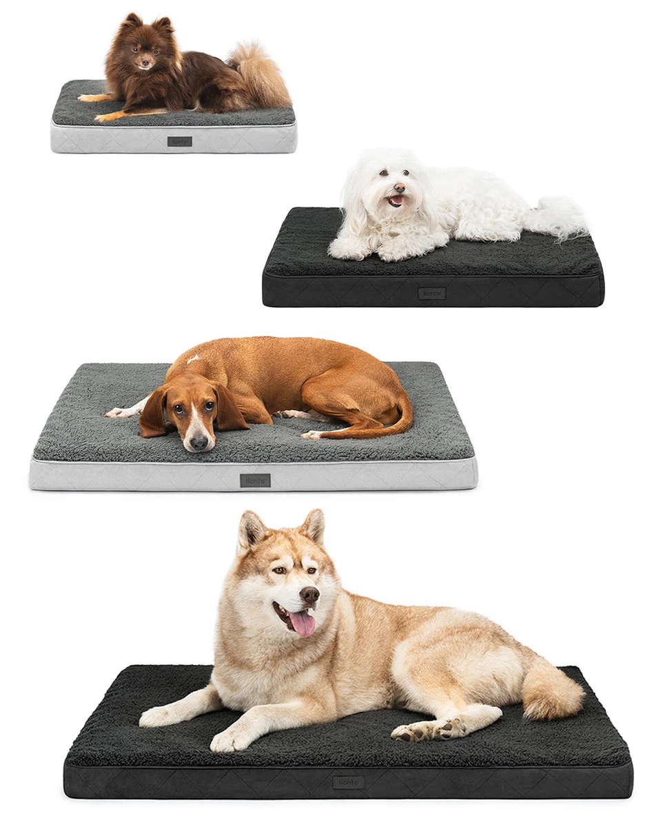Orthopädisches Hundebett Jolifield – Eierkisten-Schaumstoff, Wasserdicht, Größe L (91,4x61 Cm)