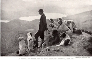 Game-Keeper & 9 Hunting Dog Assistants Rob Roy Country Scottish Highlands - Picture 1 of 5