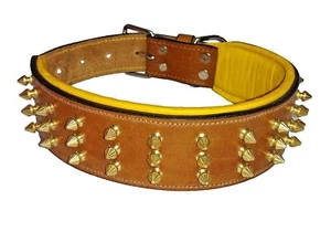 Shwaan Hochwertiges Echtleder Hundehalsband mit Stachel - 2,50 Zoll Xtra Large - Bild 1 von 6