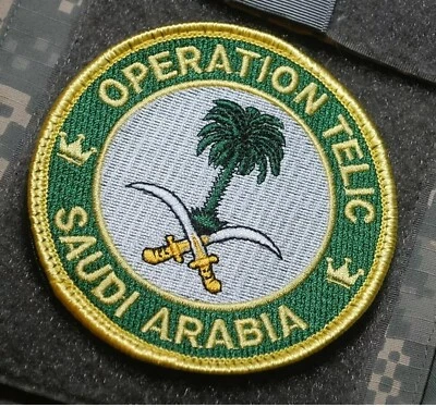 DESERT STORM 2003 GULF WAR OPERATION TELIC SAUDI ARABIA PALM TREE velkrö PATCH - Image 1 of 4