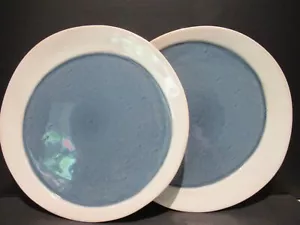 Chrissy Teigan Cravings 2 Dinner Plates Blue White EUC - Picture 1 of 8