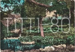MISTRETTA - AMASTRA - VILLA COMUNALE "GARIBALDI" (MESSINA) 1980 - Bild 1 von 1