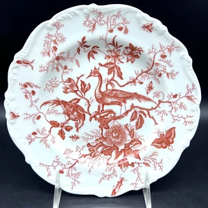 Coalport Bone China Cairo Red on White 7-3/4" Scalloped Salad Plate England - Picture 1 of 4