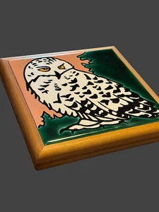 Arte de pared remache de azulejos de búho nevado blanco Dave y Barbara arte de azulejos, Inc Tallahassee - Imagen 1 de 4