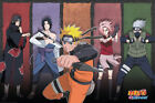 Naruto Shippuden - Naruto - Anime Plakat Poster Druck Grsse 91,5x61 cm