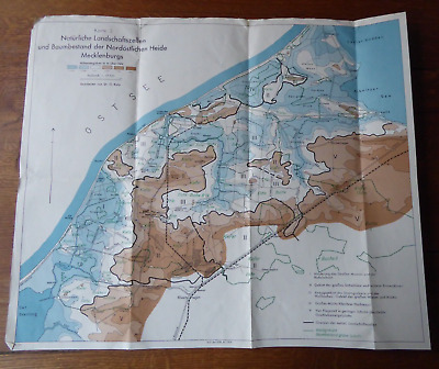 Landkarte Nordöstliche Heide Mecklenburg, Landschaftszellen, Baumbestand, 1960 • 15€