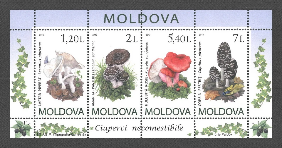 Moldova 2010 Mushrooms MNH sheet - Image 1 of 1
