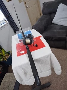 Trolling Fishing Rod Daiwa Sealine 7' ML 12-30lb And Reel Great Lakes 47LC - Picture 1 of 16