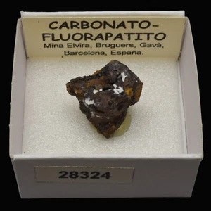 CARBONATO-FLUORAPATITO (M. Elvira, , Barcelona) #28324 / Carbonate-Fluorapatite - Picture 1 of 1