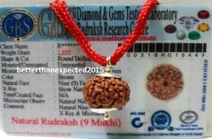 9 MUKHI RUDRAKSHA / NINE FACE RUDRAKSH JAVA BEAD PENDANT CERTIFIED &XRAY16-18MM - Picture 1 of 3