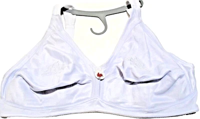 ENVY Arctic White Satin Wire-Free Bra Cooling Full Coverage Plus Size 50F NEW - Image 1 of 3