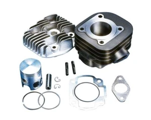 Zylinder Kit Polini Sport 50ccm 10mm für Minarelli liegend AC 166.0093 Ovetto - Bild 1 von 1