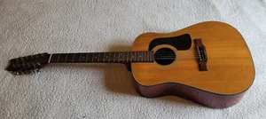 Chitarra 12 corde Washburn - Foto 1 di 13