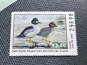 1989 Maine State ME6 Goldeneye Duck Migratory Waterfowl Stamp MNHOG - Bild 1 von 2