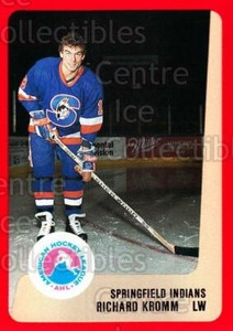 1988-89 ProCards AHL #316 Richard Kromm