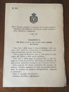 Decreto Passaggio Servizio Sanitario Veterinario ad altro Ministero 1896 - Picture 1 of 1