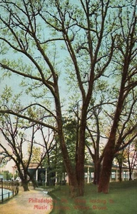 Postal dividida Philadelphia PA Walk Leading to Music Pavilion Willow Grove - Imagen 1 de 2