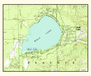 1987 Map of Wolf Lake Lake County Michigan - Picture 1 of 3
