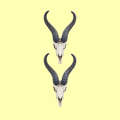 THE SCALE GRAIL Springbok Skull Replica, 1:12 Scale miniature animal dollhouse (2 skulls)