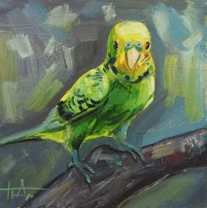 Dipinto olio originale uccellino verde budgie 6 x 6 pollici miniatura dipinto - Foto 1 di 6
