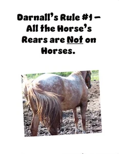 Darnall's Rule #1 auf Karton zum Einrahmen geeignet - signiert (Größe 8 1/2" x 11") - Bild 1 von 2