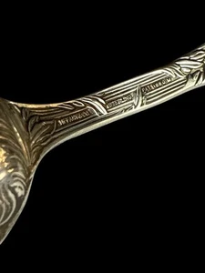 2 Tiffany & Co. SPOONS CHRYSANTHEMUM STERLING 6” Spoon 48 grams 3” Salt Spoon - Picture 1 of 11