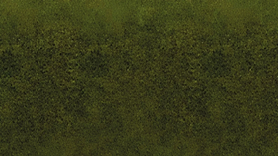 Noch 00265 - Grasmatte Wiese 120 x 60 cm Neuware - Bild 1 von 1