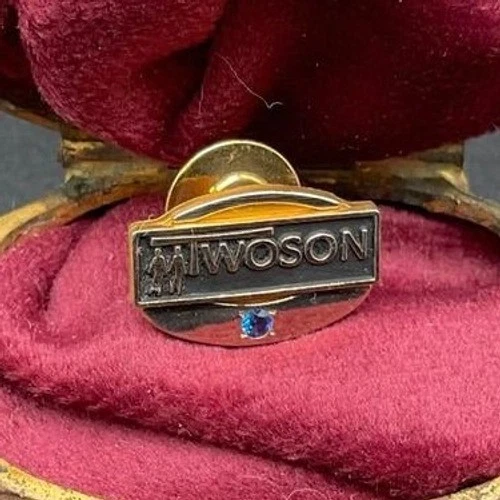 Prendedor de servicio TWOSON Terryberry relleno de oro 1/10 10K vintage con acento de zafiro Foto 1 de 4