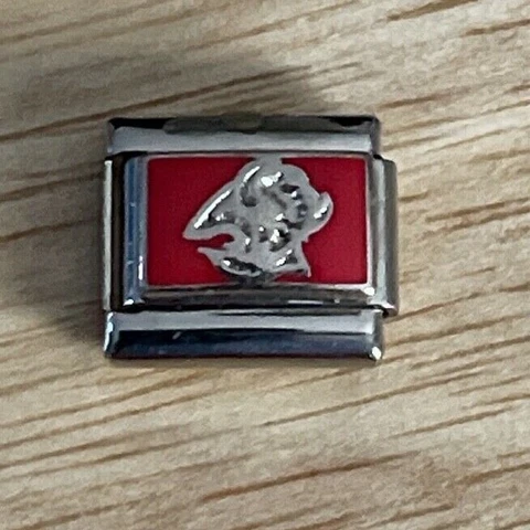 NHL Buffalo Sabres Italian Charm Link for Bracelet, Licensed Peter David Cover