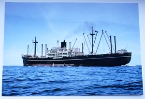 Vintage 4X6 Photo P & O LINE PATONGA Ocean Cargo Ship Sydney 1968 - Picture 1 of 3