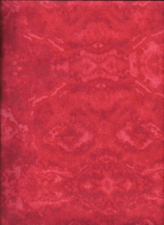 New AE Nathan Comfy Prints Red Blender Flannel Fabric by the Quarter-Yard - Image 1 of 1