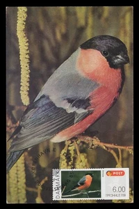 DENMARK 2012 Maximum Card ATM - Eurasian bullfinch, Pyrrhula pyrrhula, bird, ave - Imagen 1 de 1