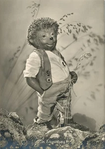 Mecki: In Erwartung! ? ngl 110.648 - Bild 1 von 1