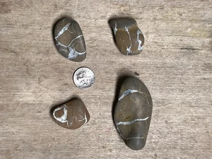 Lote de piedras de relámpago de cristal liso Michigan piedras curativas septarias lote LS9 - Imagen 1 de 2