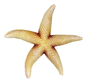 Sea Star Tan Starfish Wall Decor 9 Inch Resin Plaque - Picture 1 of 2