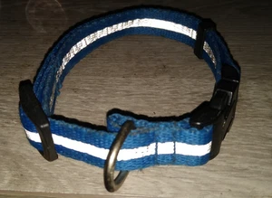 Reflective Dog Collar - Picture 1 of 1