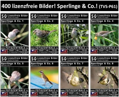 400 Lizenzfreie Profi-Bilder Fotos Sperlinge Vögel Photoshop UVP 152,- / 2 DVDs - Bild 1 von 4