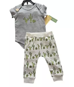 NWT Monica + Andy Cactus Bodysuit & Pants Set – Size 12-18M - Organic Cotton - Picture 1 of 4