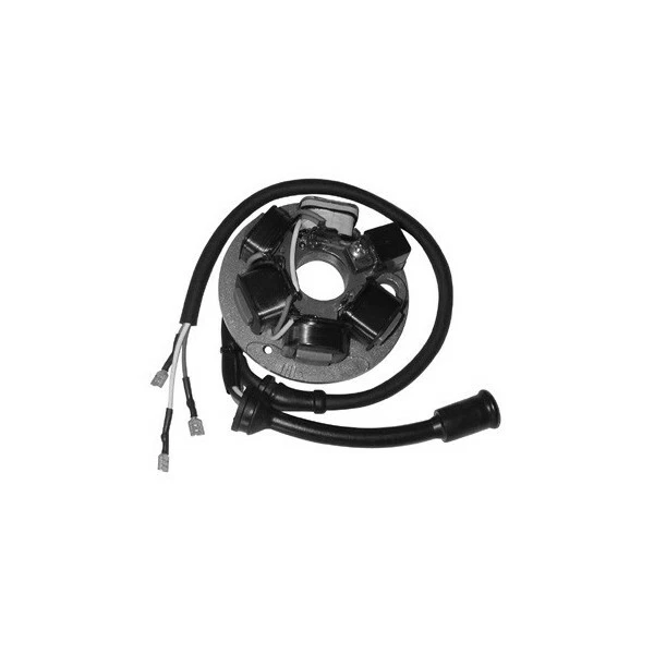 Stator Complet Ducati 431936304 Piaggio 50 Vespa PK S V5X2 1982-1985 - Photo 1/1