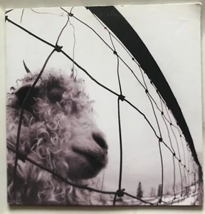 Pearl Jam - Vs. - 2011 (reissue.remastered) - 180 gram Gatefold w/ Insert - Imagen 1 de 7