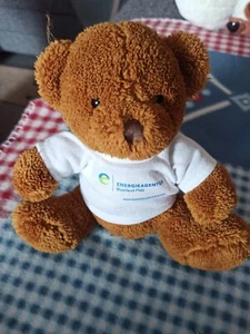 Teddybär - Bild 1 von 1